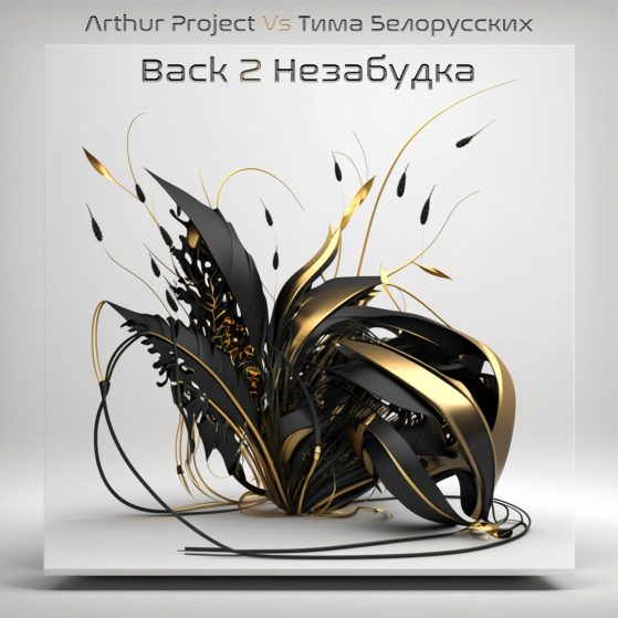 Arthur Project  Vs Тима Белорусских – Back 2 Незабудка (Arthur Project Private MashUp) — обложка релиза