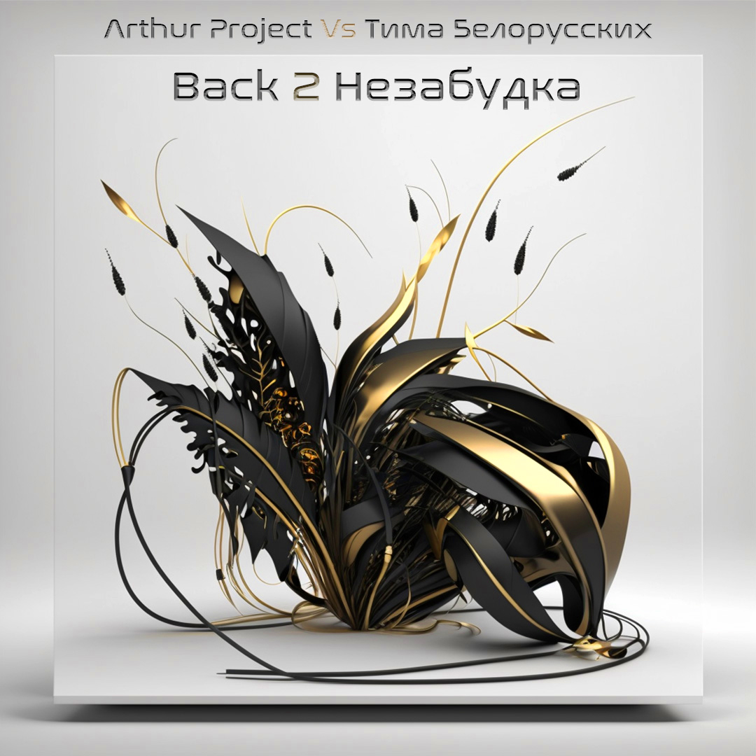 Arthur Project  Vs Тима Белорусских – Back 2 Незабудка (Arthur Project Private MashUp) — обложка релиза